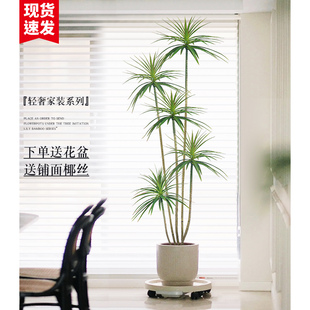 精选轻奢仿真绿植假植物仿真花千年木室内盆栽龙血树客厅装饰摆件