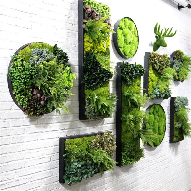 精选仿真植物壁挂植物墙背景墙电视墙样品房装饰套餐田园软装花卉,家居饰品,壁饰,淘宝优惠券,粉丝福利购,淘宝优惠卷