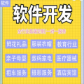 同城门户微信短视频SEO搜索引擎排名拓客小程序软件开发网站建设