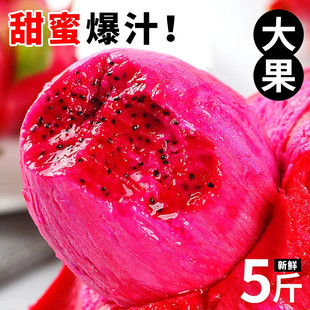 红心火龙果当季新鲜水果整箱广西金都一号火龙果大果5斤包邮批发