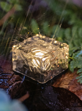 掬涵太阳能冰砖地埋灯夜灯户外防水庭院灯别墅花园草坪家用装饰灯