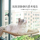 通用猫吊床可拆洗猫窝秋冬 四季 亚马逊爆款 宠物用品吸盘猫咪吊床
