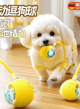 狗狗玩具自动遛狗球宠物小狗自嗨解闷耐咬电动智能逗狗跳跳球神器