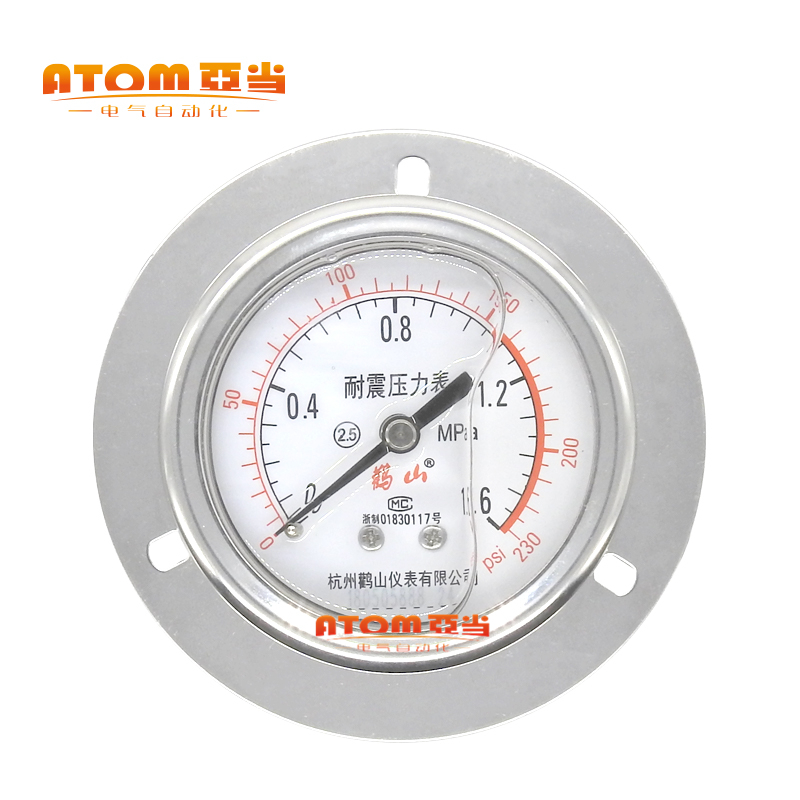 鹳山YN-60ZYN60ZT耐震轴向带边安装式压力表油压液压抗震表防震表