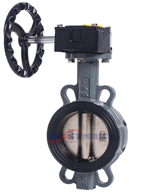 B涡轮对夹蝶阀 D371X/D371XP-10/16 WCB体 QT450/304板乙丙阀座
