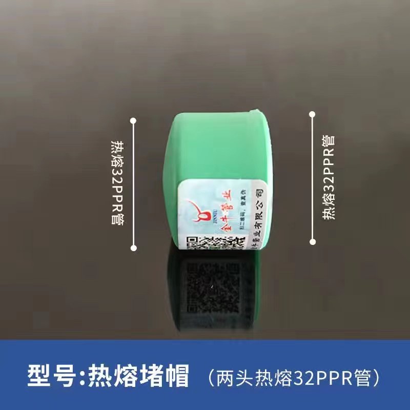 上海金牛PPR水管配件大全三通弯头直接32管件热熔管自来水管接头,珠宝/钻石/翡翠,翡翠裸石/蛋面,淘宝优惠券,粉丝福利购,淘宝优惠卷