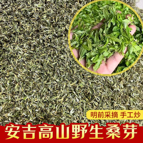 26年安吉高山野生天然桑叶茶明前嫩芽青桑头茶降火手工炒250g散装
