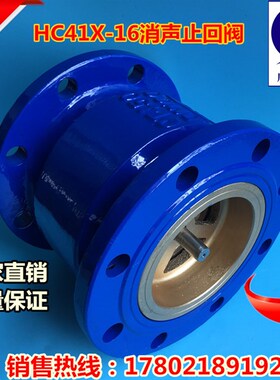 HC41X-16法兰消声止回阀铸铁逆止阀单向阀DN40-DN300