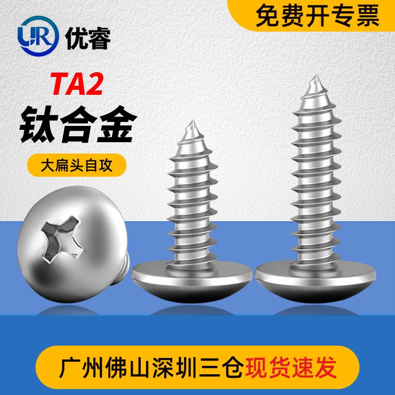 钛合金TA2大扁头自攻螺丝PA十字大伞头扁头圆头沉头平头螺钉大全