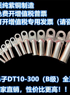 DT10 16 25 35 50 70 300铜鼻子线鼻电缆铜接线铜管鼻B厂标红升