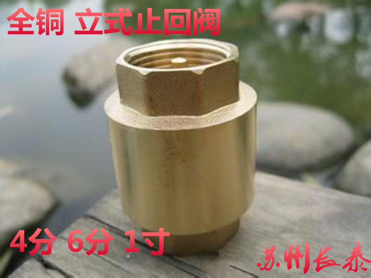 黄铜立式止回阀铜杆耐高温立式单向阀 内螺纹丝口止回阀 6分 DN20