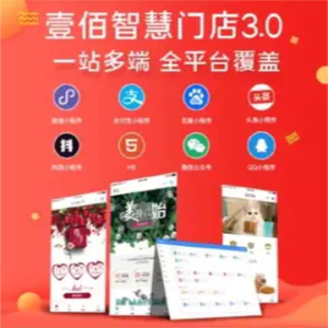智慧门店跨境电商民宿酒店百货商城连锁超市软件开发V3壹佰系统