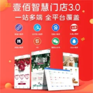 智慧门店跨境电商民宿酒店百货商城连锁超市软件开发V3壹佰系统