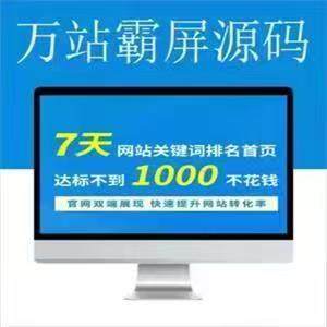网站百度搜狗PC神马谷歌万词霸屏站群搜索引擎抖音关键词优化排名