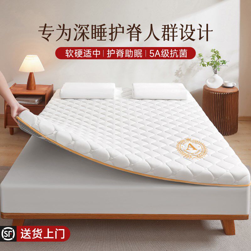 天然椰棕乳胶床垫家用卧室榻榻米硬棕垫记忆棉薄垫褥单人租房专用