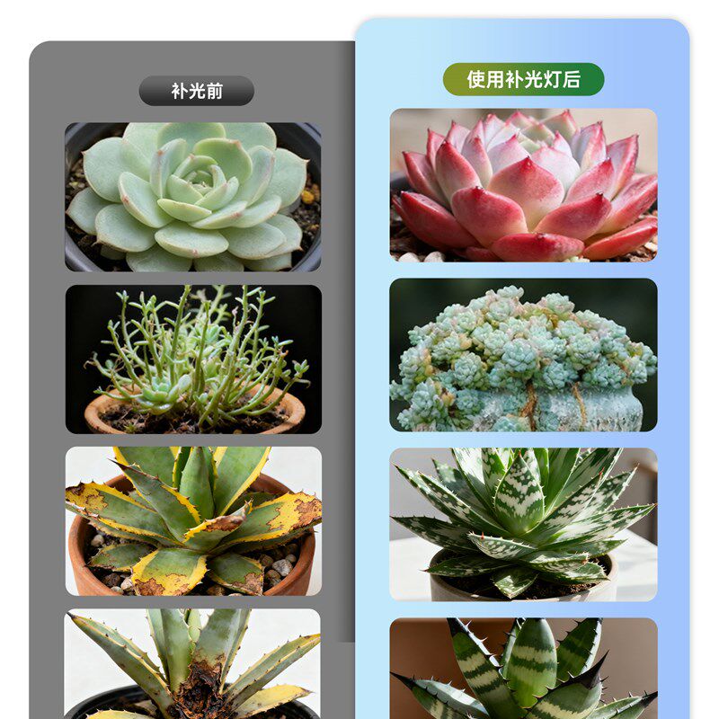 多肉补光灯 全光谱led植物灯室内热植绿植上色防徒长彷太阳生长灯