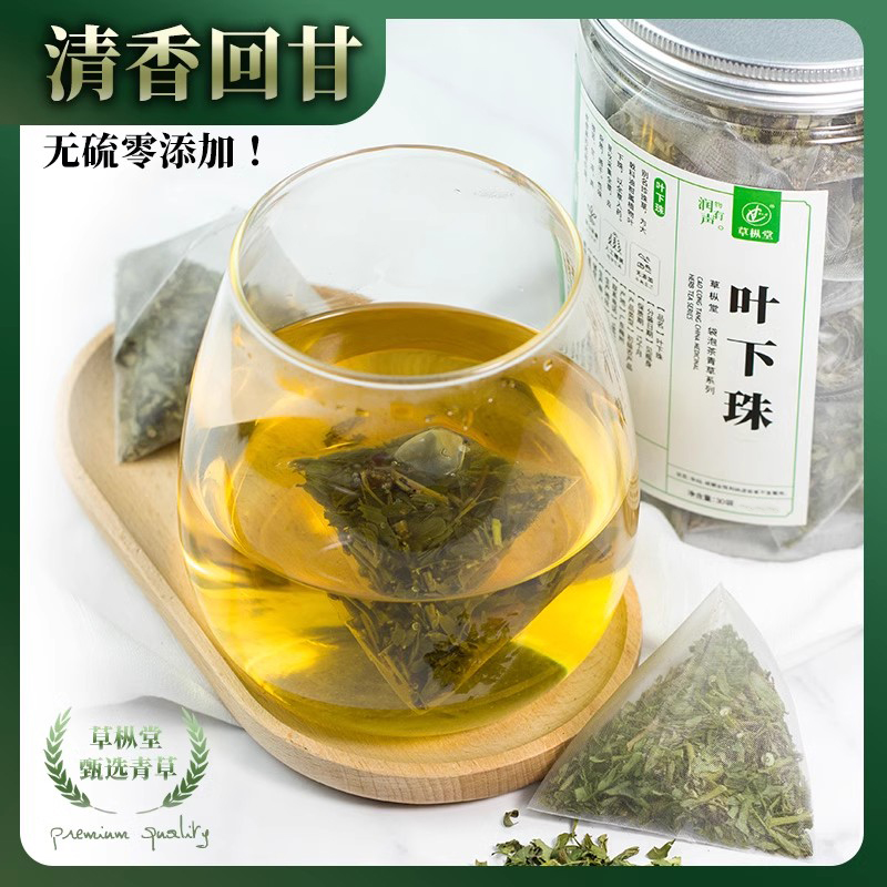 草枞堂广东袋泡益干叶下珠草药茶