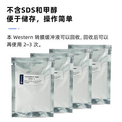 BL626A 1电泳转移缓冲液(转膜液)western blot  Transfer Buffe