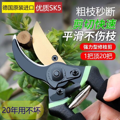 德国原装进口修枝剪家用花枝条剪子园林果树粗枝花艺工具园艺剪刀