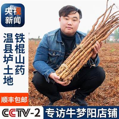 铁棍山药河南省焦作温县垆土糯铁杆正宗红皮长怀山淮山药新鲜5斤