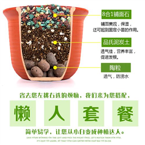 营养土包邮种植土通用型组合套装多肉兰花陶粒颗粒土专用花肥土壤