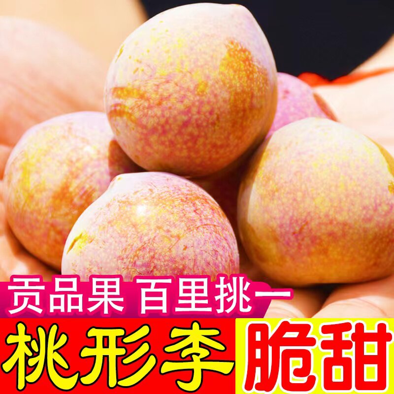 正宗浙江嵊州金庭桃形李红心李子新鲜水果三华李5斤顺丰现摘现发