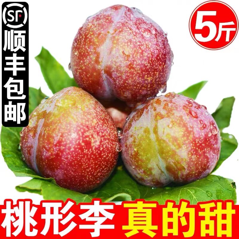 正宗浙江嵊州金庭桃形李现摘红心李子新鲜水果三华李5斤礼盒顺丰
