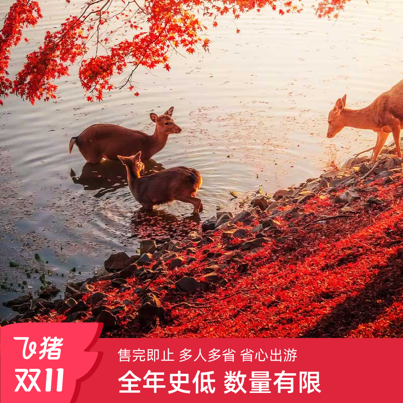 【人均145起】日本大阪京都奈良一日游清水寺岚山伏见稻荷旅游
