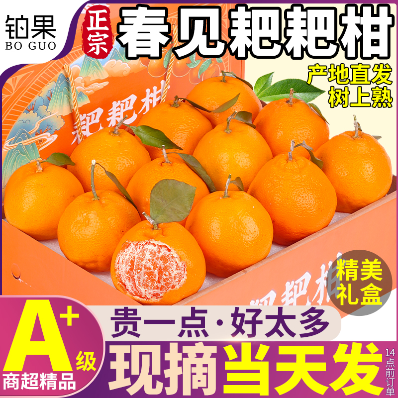 精品礼盒10斤正宗春见耙耙柑水果当季新鲜应季甜柑橘桔子整箱包邮