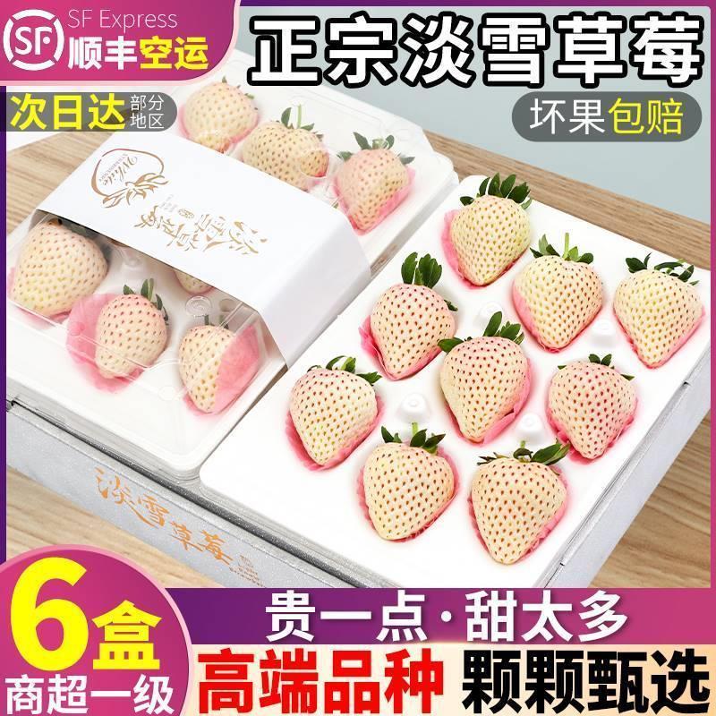 高端品种淡雪草莓新鲜3斤白色草莓奶油水果顺丰礼盒包邮辽宁丹东9