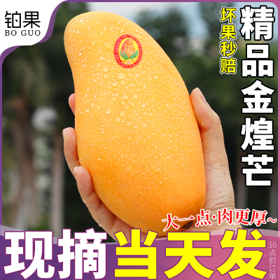 10斤 金煌芒芒果新鲜水果当季现摘老树大果时令广西整箱包邮甜心9