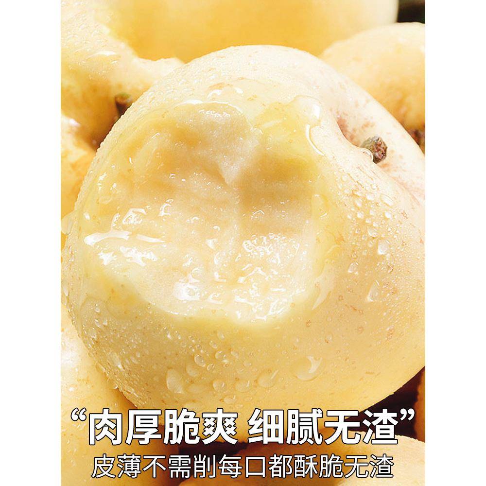 高端礼盒10斤黄金奶油富士苹果新鲜水果应季平果山东烟台整箱