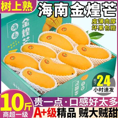 树上熟海南金煌芒10斤新鲜芒果水果当季青皮整箱包邮甜心特大礼盒