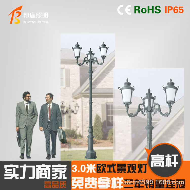 户外LED铝制庭院灯防水3米欧式花园市电小区道路灯高杆别墅景观灯