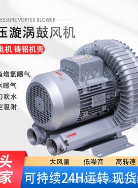 上风口旋涡风d机4KW无尘烧毛机配套高压鼓风机RB4氧1D-4增7泵-000