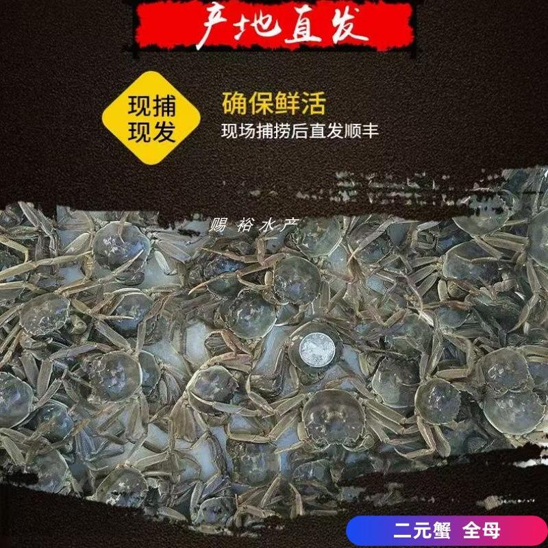 小螃蟹大小混合蟹香辣蟹