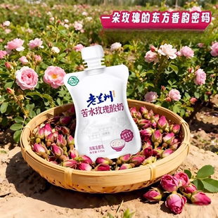 庄园牧场老兰州酸奶苦水玫瑰低温酸奶兰州特产早餐礼盒装整箱