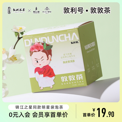 敦利号锦江酒店同款陈皮普洱茶茉莉花茶果茶茶包水果茶袋泡茶茶叶