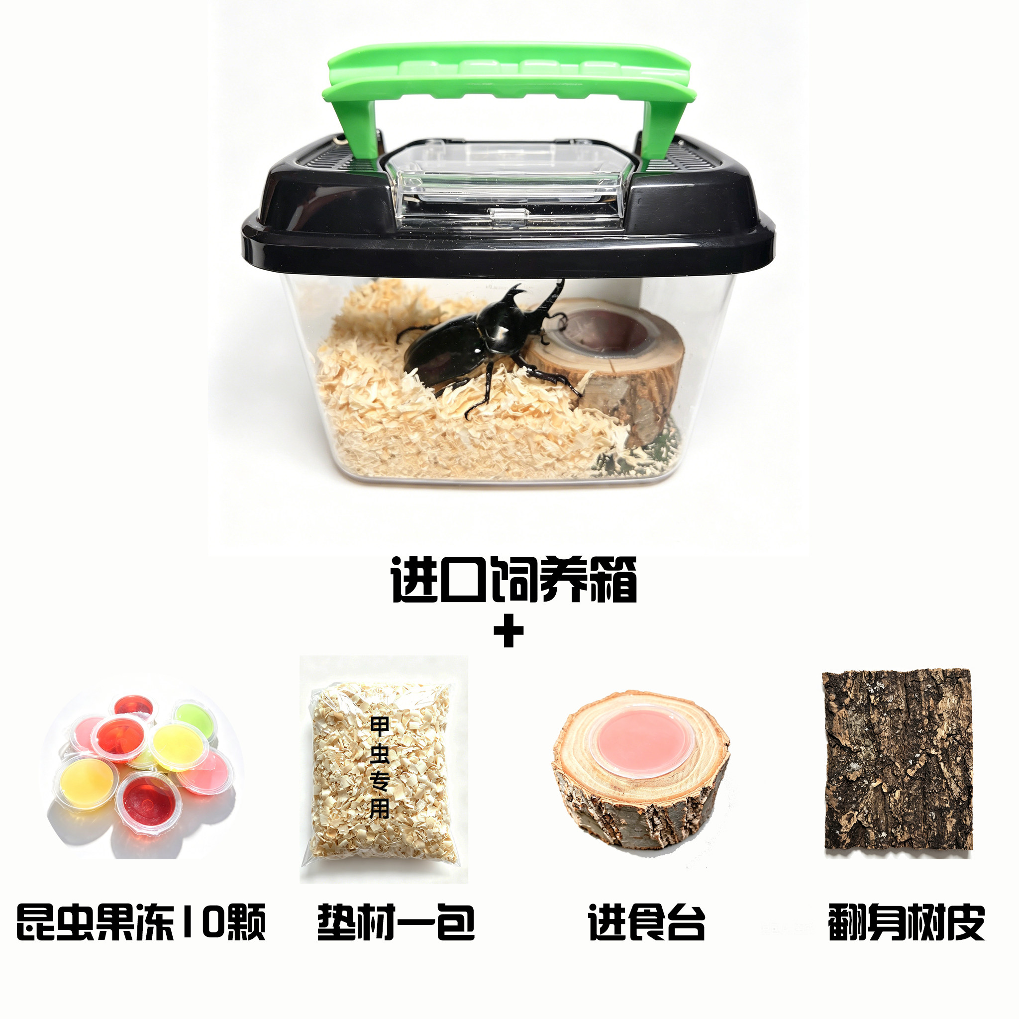 甲虫饲养套餐独角仙饲养用品果冻