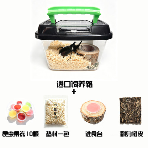 甲虫饲养套餐独角仙饲养用品果冻
