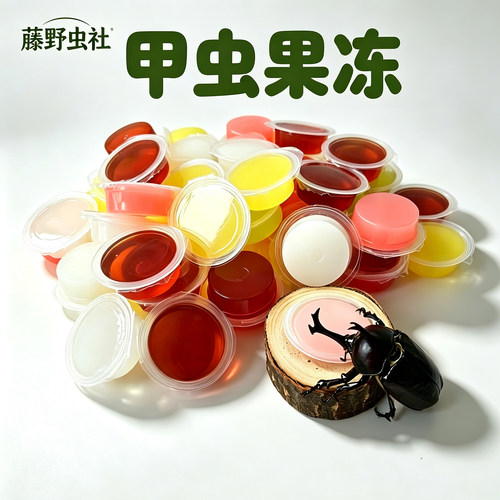 藤野虫社甲虫果冻50枚即食