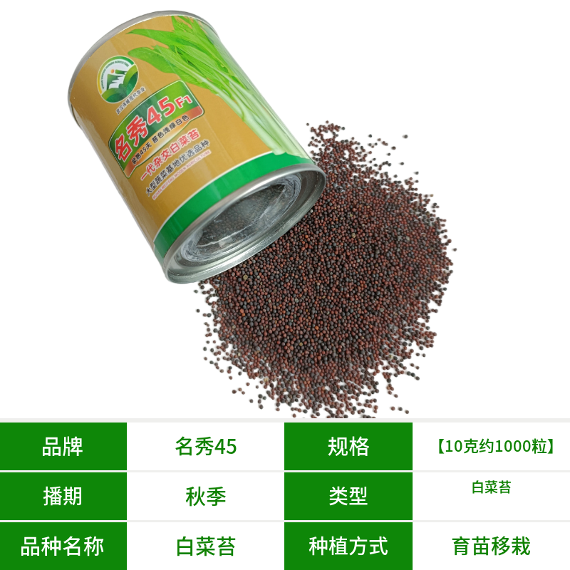 【名秀45】基地早熟灌装优良白菜苔种子多茬采收正品原装