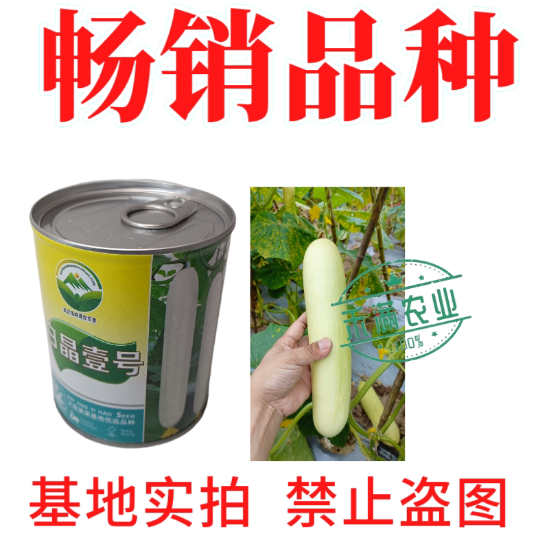 白晶黄瓜种子高端白晶壹号水果黄瓜种籽白皮黄瓜种子清香爽口种孑