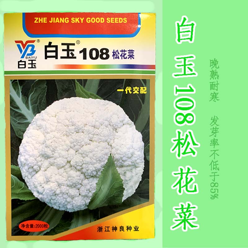 松花菜种子花菜神良矮脚松花