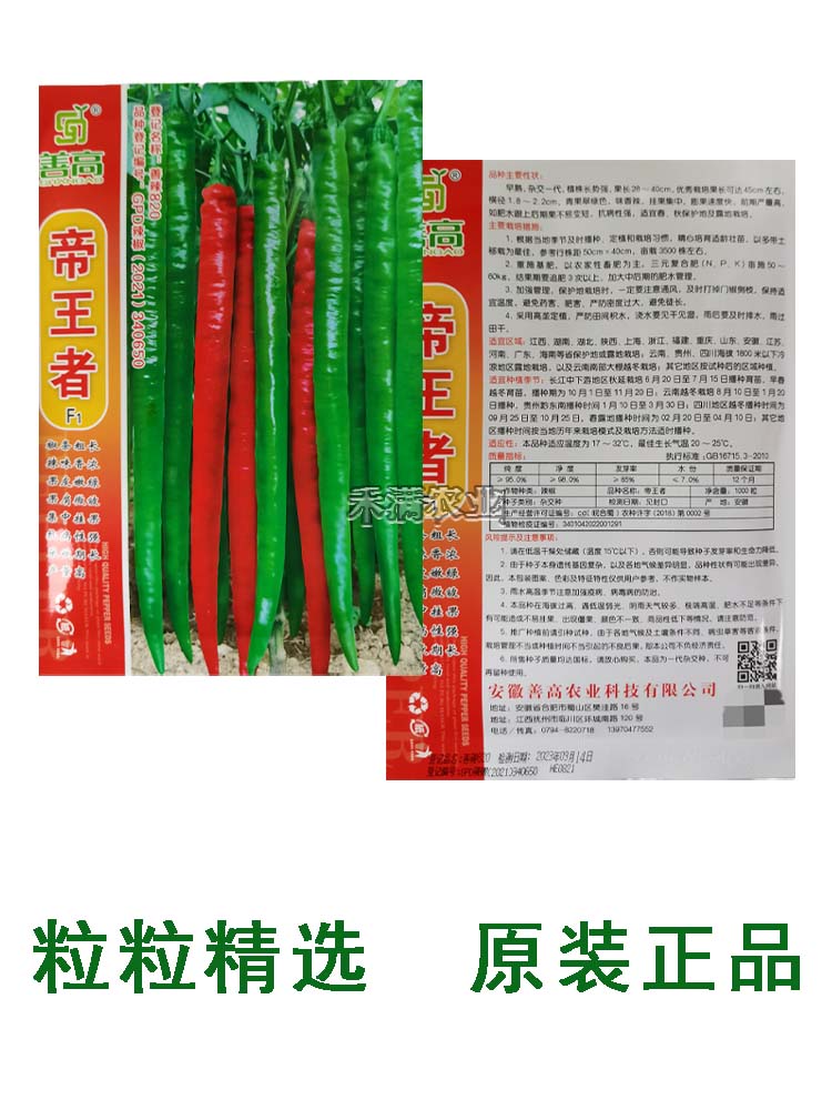 天尊粗长45厘米果重40克线椒种籽线椒种子大全辣椒种籽四季蔬菜种