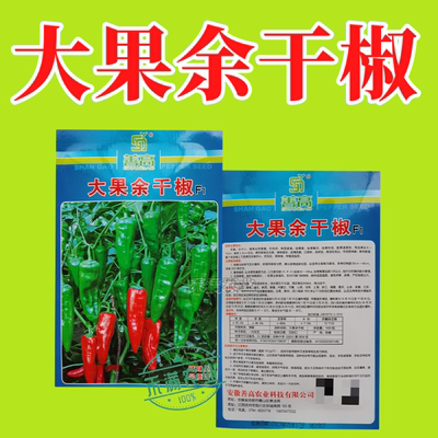 江西特色大果余干椒小虎辣种籽辣椒种籽大全小米辣椒种孑辣椒种子