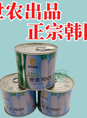 R501萝卜种子耐热高产型