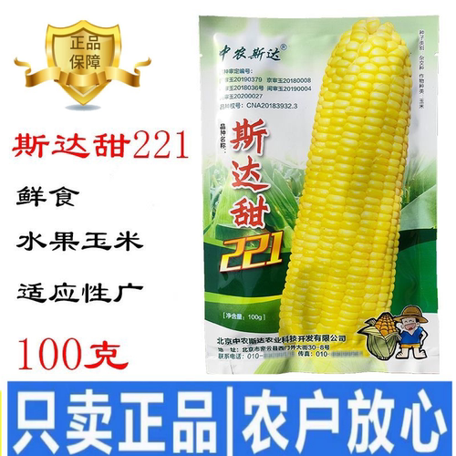 【中农斯达】优质水果甜玉米种子纯黄个头大甜嫩可口审定品种春秋