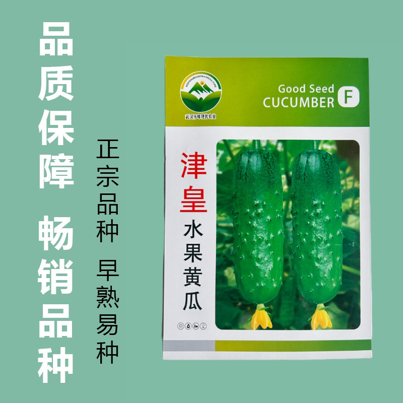 春季种津黄水果黄瓜种子四季水果黄瓜种籽旱黄瓜种孑黄瓜种子大全