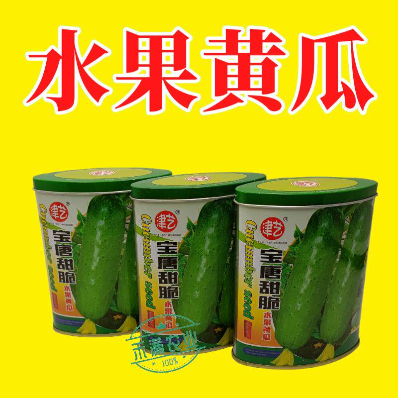 津艺宝唐甜脆水果黄瓜种子早熟高产抗病基地春秋播种精选水果种籽